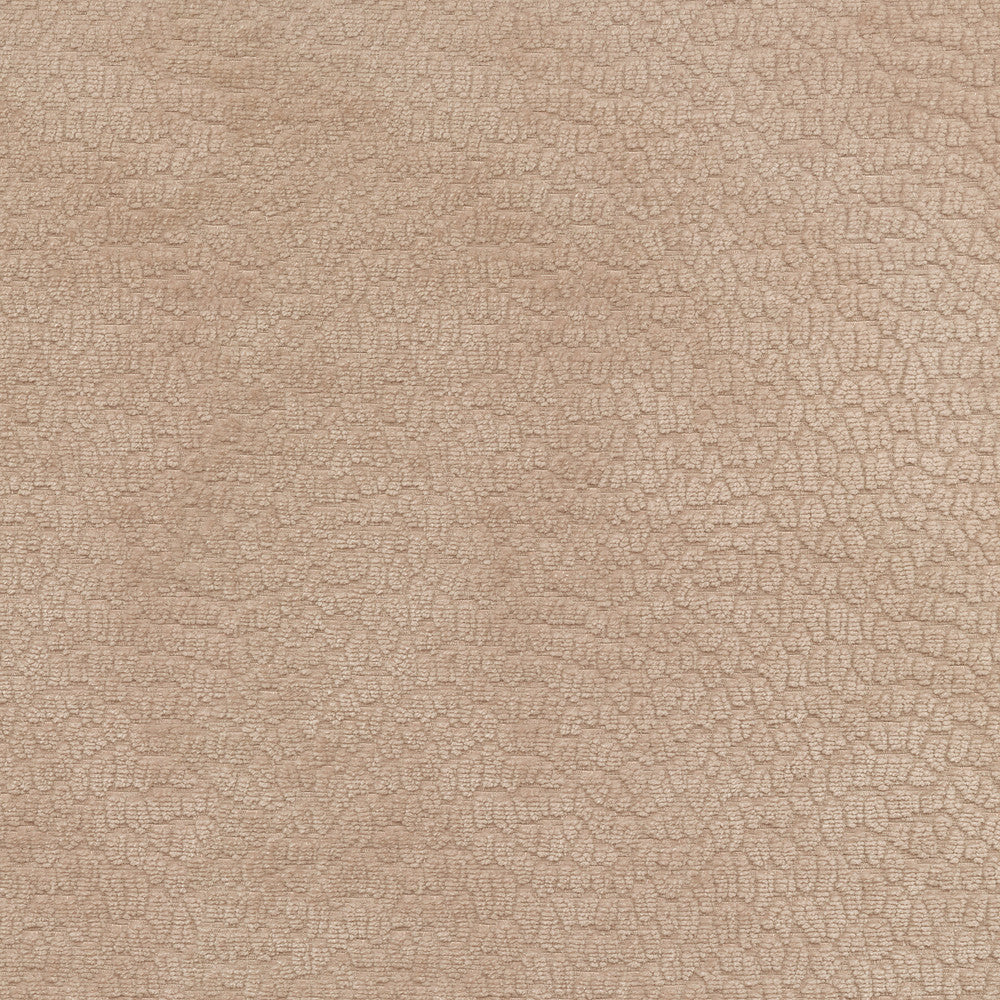 Performance Pebblestone Ballet 411472 by PKL Studio Designer Fabric - 100% polyester China 51000 Horizontal: 6.8 and Vertical: 6.8 55 - Swanky Fabrics -