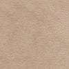Performance Pebblestone Ballet 411472 by PKL Studio Designer Fabric
