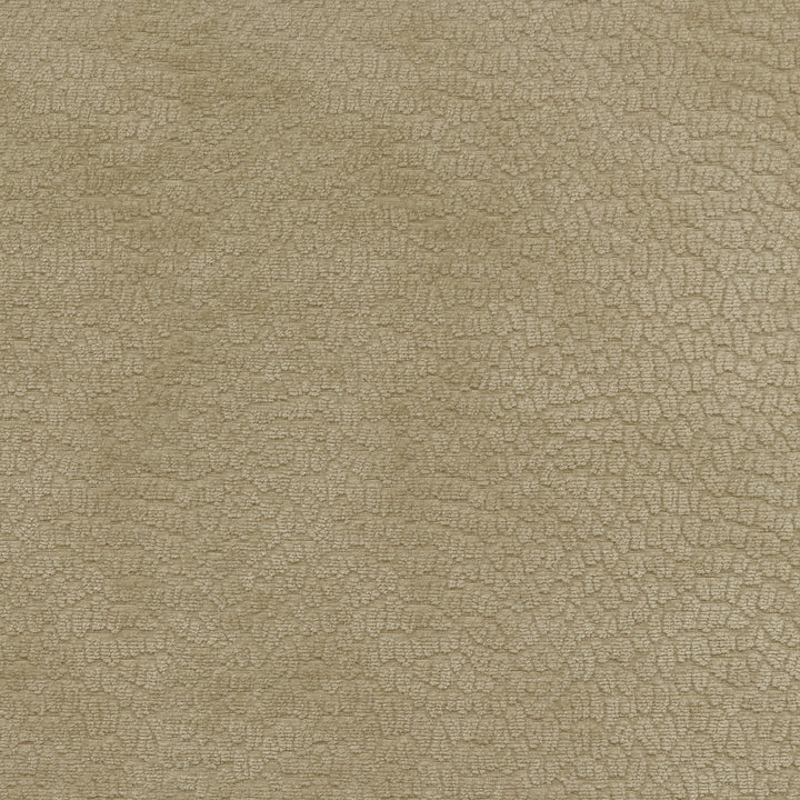 Performance Pebblestone Hemp 411478 by PKL Studio Designer Fabric - 100% polyester China 51000 Horizontal: 6.8 and Vertical: 6.8 55 - Swanky Fabrics -