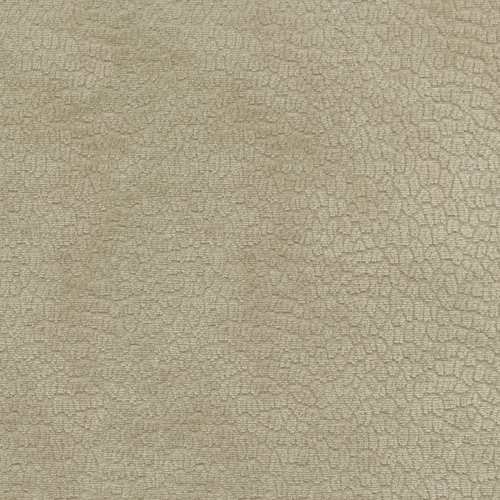 Performance Pebblestone Sand 411479 by PKL Studio Designer Fabric - 100% polyester China 51000 Horizontal: 6.8 and Vertical: 6.8 55 - Swanky Fabrics -
