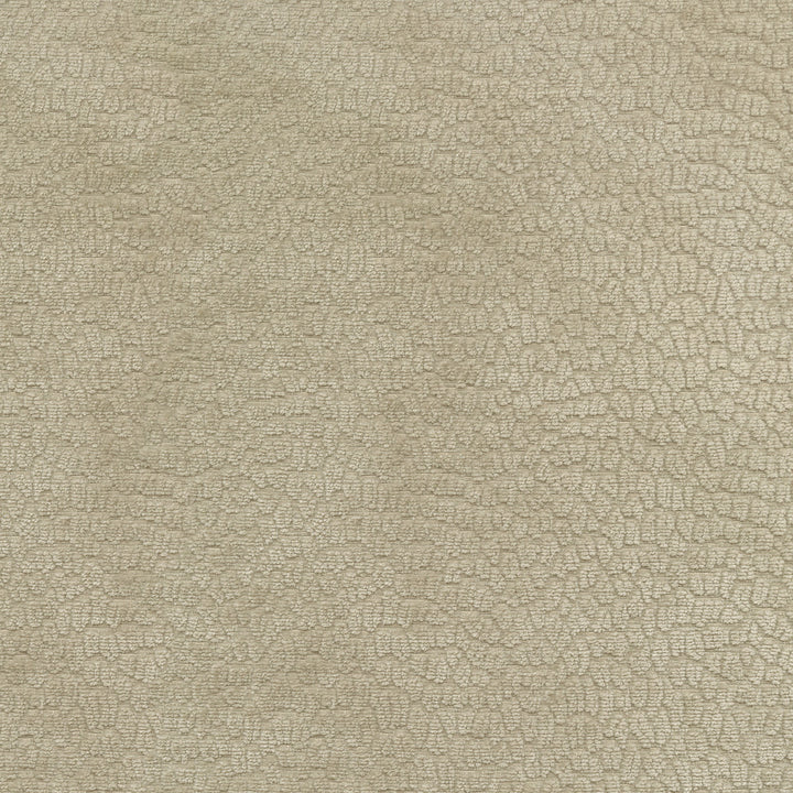 Performance Pebblestone Flax 411483 by PKL Studio Designer Fabric - 100% polyester China 51000 Horizontal: 6.8 and Vertical: 6.8 55 - Swanky Fabrics -