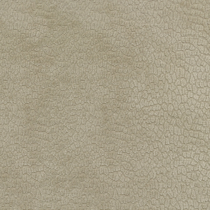 Performance Pebblestone Fossil 411484 by PKL Studio Designer Fabric - 100% polyester China 51000 Horizontal: 6.8 and Vertical: 6.8 55 - Swanky Fabrics -