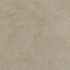 Performance Pebblestone Fossil 411484 by PKL Studio Designer Fabric