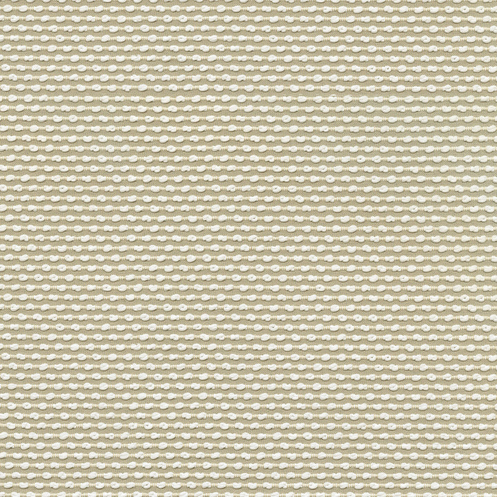 Breuer Pachment 411510 by PKL Studio Designer Fabric - 100% polyester China 24000 Horizontal: .4 and Vertical: .5 56 - Swanky Fabrics -