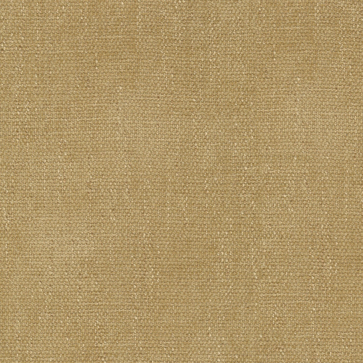 Perf Rowan Gold 411724 by PKL Studio Designer Fabric 100% Polyester China 51000 Horizontal: N/A and Vertical: N/A 54 - Swanky Fabrics -
