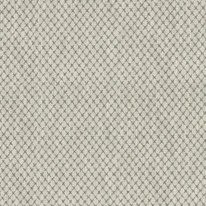 Vega Charcoal 411751 by PKL Studio Designer Fabric 87% Polyester, 13% Cotton India 51000 Horizontal: 0.88 and Vertical: 1 54 - Swanky Fabrics -