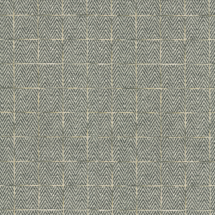 Malay Tweed Charcoal 411771 by PKL Studio Designer Fabric 82% Polyester, 18% Cotton, Backed India 51000 Horizontal: 13.6 and Vertical: 16.1 54 - Swanky Fabrics -