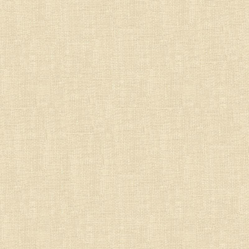 4118.1 by Kravet Basics Designer Fabric our website for purchase Polyester 100% Turkey see sample Horizontal: see sample and Vertical: see sample 118 inches - Swanky Fabrics -