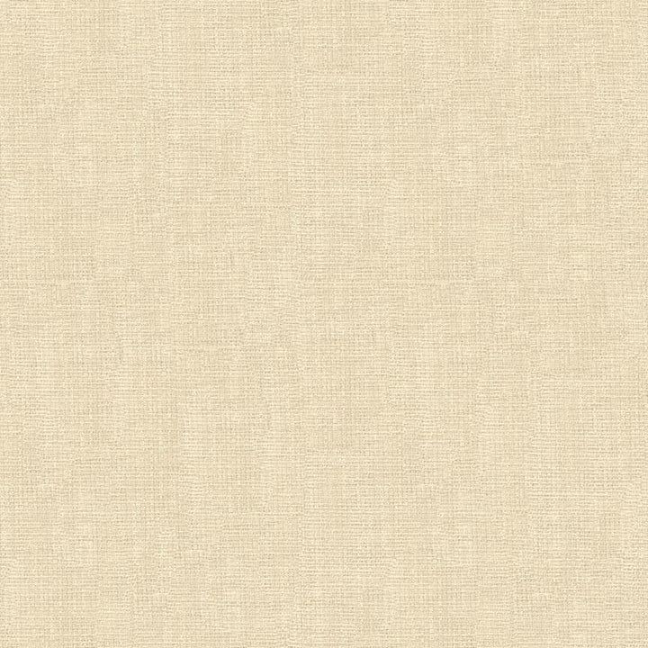 4118.1 by Kravet Basics Designer Fabric in our sample Polyester 100% Turkey See Sample Horizontal: See Sample and Vertical: See Sample 118 inches - Swanky Fabrics -