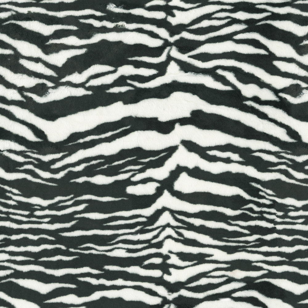 Serengeti Stroll Zebra 411991 by PKL Studio Designer Fabric 100% Polyester China 51000 Horizontal: 25 and Vertical: 25.25 60 - Swanky Fabrics -