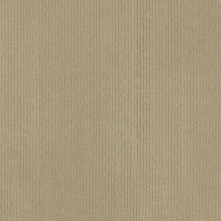 Wales Sand 412044 by PKL Studio Designer Fabric 100% Cotton China 51000 Horizontal: 0.2 and Vertical: N/A 55 - Swanky Fabrics -