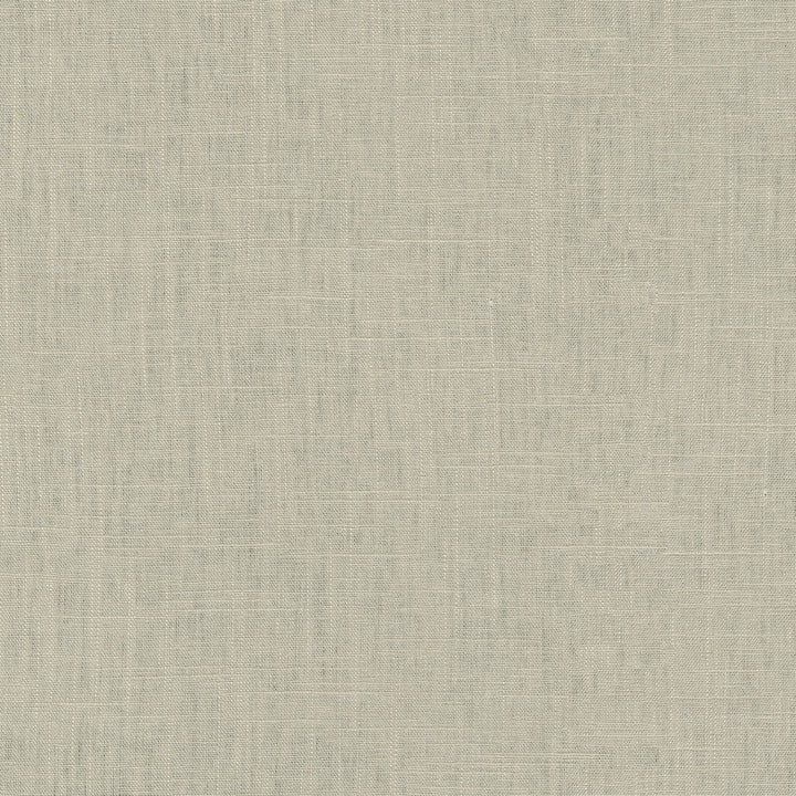 Chester Driftwood 412051 by PKL Studio Designer Fabric 58% Linen, 42% Rayon China 24000 Horizontal: N/A and Vertical: N/A 54 - Swanky Fabrics -