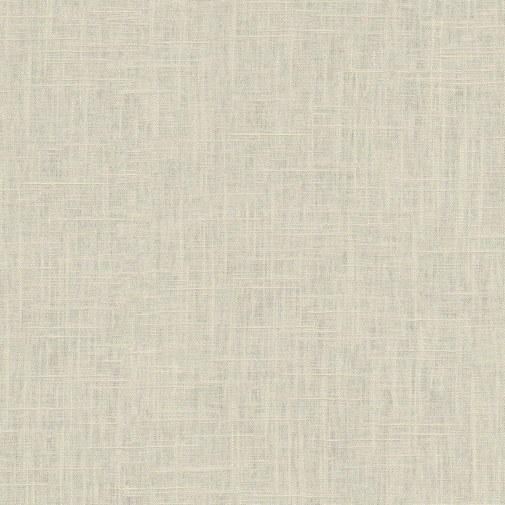 Chester Parchment 412054 by PKL Studio Designer Fabric 58% Linen, 42% Rayon China 24000 Horizontal: N/A and Vertical: N/A 54 - Swanky Fabrics -