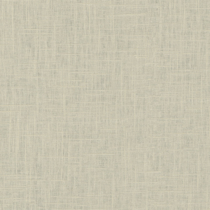 Chester Sesame 412055 by PKL Studio Designer Fabric 58% Linen, 42% Rayon China 24000 Horizontal: N/A and Vertical: N/A 54 - Swanky Fabrics -