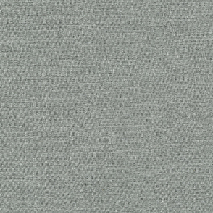 Chester Limestone 412065 by PKL Studio Designer Fabric 58% Linen, 42% Rayon China 24000 Horizontal: N/A and Vertical: N/A 54 - Swanky Fabrics -
