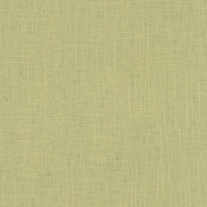 Chester Spring 412079 by PKL Studio Designer Fabric 58% Linen, 42% Rayon China 24000 Horizontal: N/A and Vertical: N/A 54 - Swanky Fabrics -