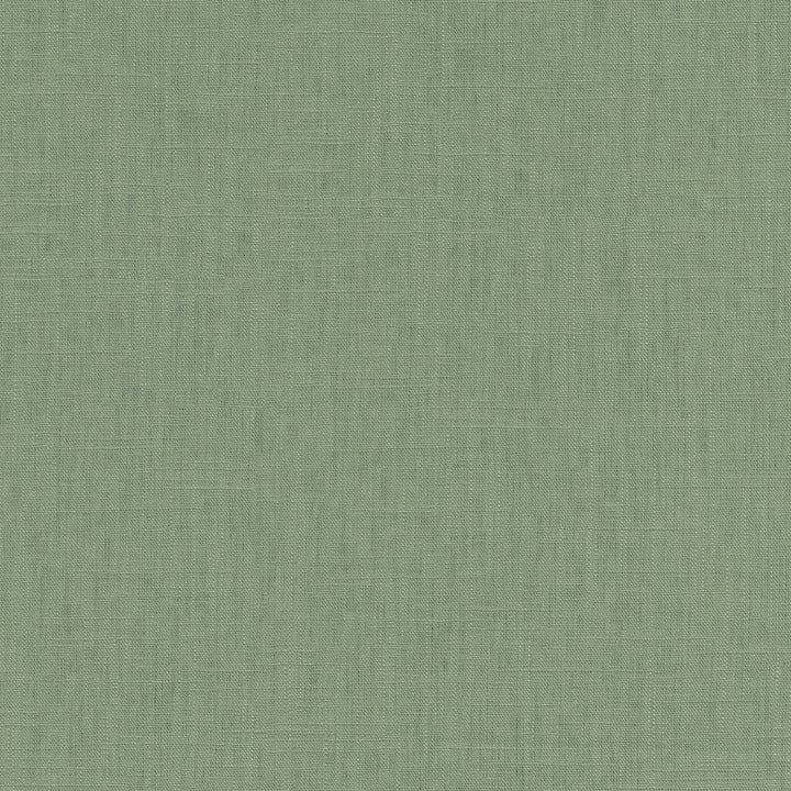 Chester Aloe 412080 by PKL Studio Designer Fabric 58% Linen, 42% Rayon China 24000 Horizontal: N/A and Vertical: N/A 54 - Swanky Fabrics -