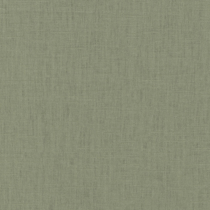 Chester Bay Leaf 412081 by PKL Studio Designer Fabric 58% Linen, 42% Rayon China 24000 Horizontal: N/A and Vertical: N/A 54 - Swanky Fabrics -