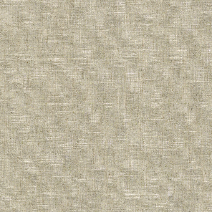 Montecito Flax 412090 by PKL Studio Designer Fabric 55% Linen, 45% Cotton China 39000 Horizontal: N/A and Vertical: N/A 54 - Swanky Fabrics -
