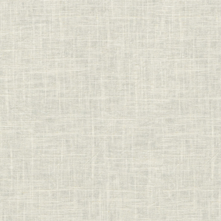 Montecito Coconut 412092 by PKL Studio Designer Fabric 55% Linen, 45% Cotton China 39000 Horizontal: N/A and Vertical: N/A 54 - Swanky Fabrics -