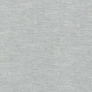 Montecito Fog 412099 by PKL Studio Designer Fabric