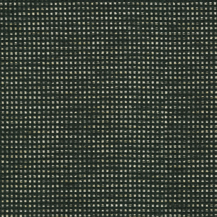 Tahitian Basket Ebony 412122 by PKL Studio Designer Fabric 100% Polyester India 51000 Horizontal: 0.25 and Vertical: 0.25 54 - Swanky Fabrics -