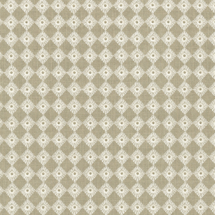 Encore Emb Linen 412140 by PKL Studio Designer Fabric Base 72% Cotton, 28% Polyester Emb: 100% Cotton India 51000 Horizontal: 1 and Vertical: 1 54 - Swanky Fabrics -
