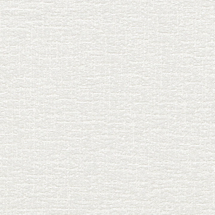 Cirrus White 412331 by PKL Studio Designer Fabric 100% polyester China 100000 Horizontal: 0 and Vertical: 0 54 - Swanky Fabrics -