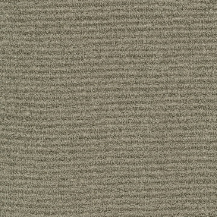 Cirrus Taupe 412338 by PKL Studio Designer Fabric 100% polyester China 100000 Horizontal: 0 and Vertical: 0 54 - Swanky Fabrics -