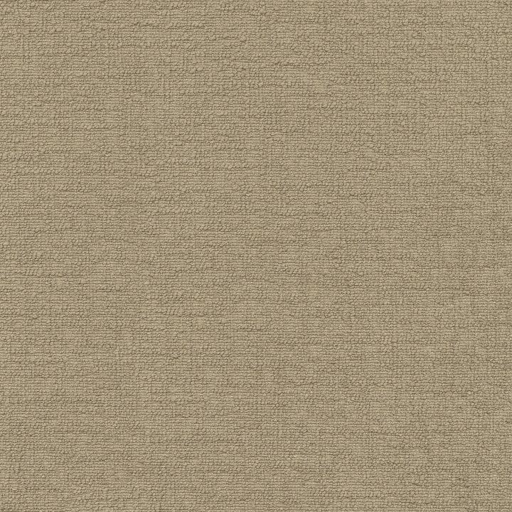 Cirrus Flax 412339 by PKL Studio Designer Fabric 100% polyester China 100000 Horizontal: 0 and Vertical: 0 54 - Swanky Fabrics -