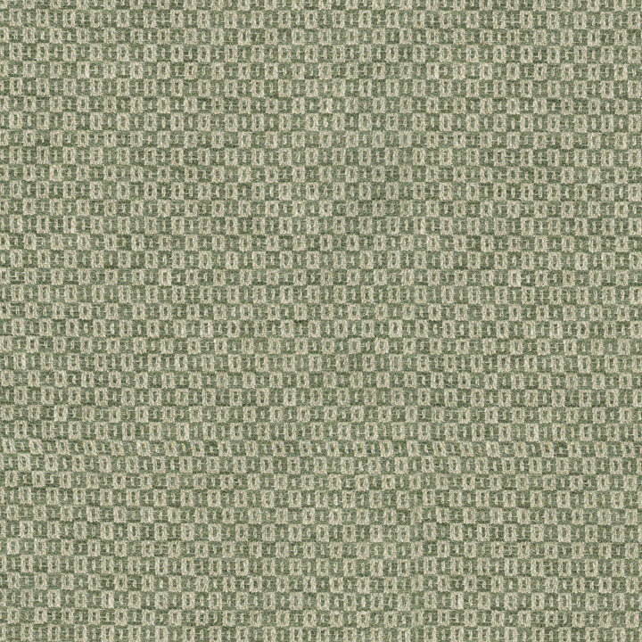 Parque Loden 412352 by PKL Studio Designer Fabric 82% polyester, 18% cotton India 51000 Horizontal: 0.5 and Vertical: 0.63 54 - Swanky Fabrics -