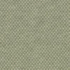 Parque Loden 412352 by PKL Studio Designer Fabric