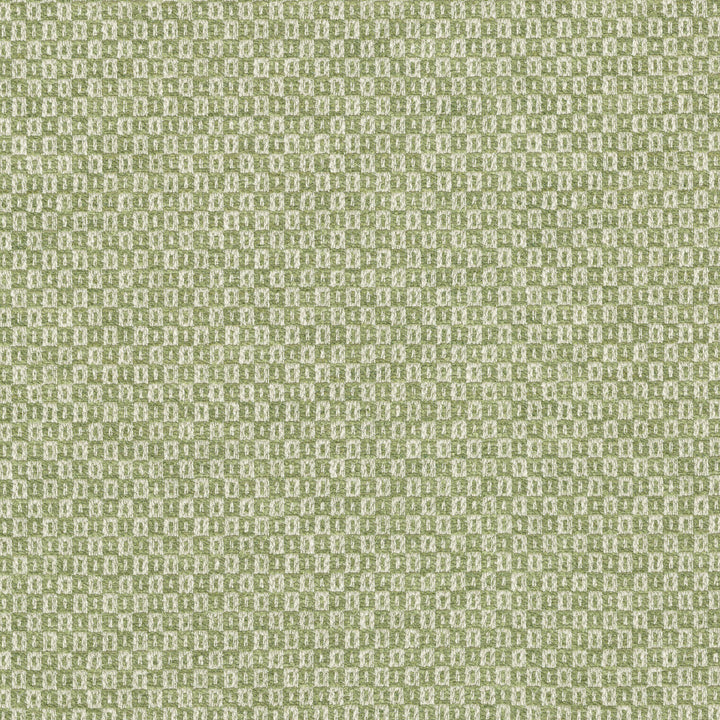 Parque Spring 412353 by PKL Studio Designer Fabric 82% polyester, 18% cotton India 51000 Horizontal: 0.5 and Vertical: 0.63 54 - Swanky Fabrics -