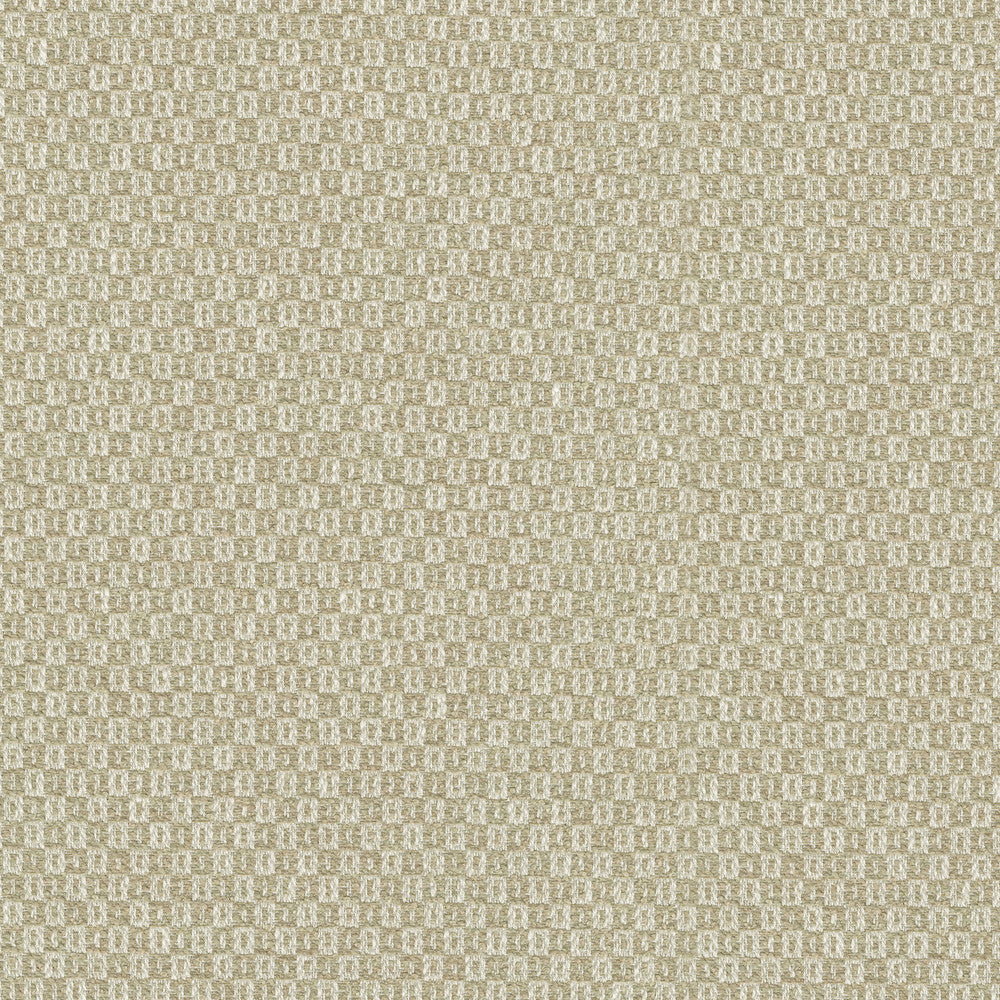 Parque Sesame 412355 by PKL Studio Designer Fabric 82% polyester, 18% cotton India 51000 Horizontal: 0.5 and Vertical: 0.63 54 - Swanky Fabrics -