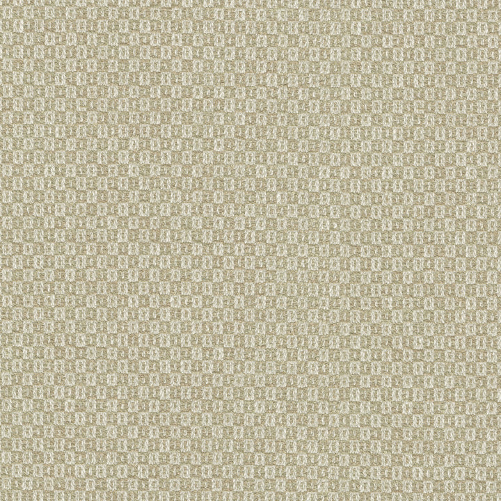 Parque Sesame 412355 by PKL Studio Designer Fabric 82% polyester, 18% cotton India 51000 Horizontal: 0.5 and Vertical: 0.63 54 - Swanky Fabrics -
