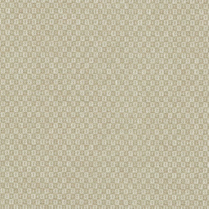 Parque Sesame 412355 by PKL Studio Designer Fabric
