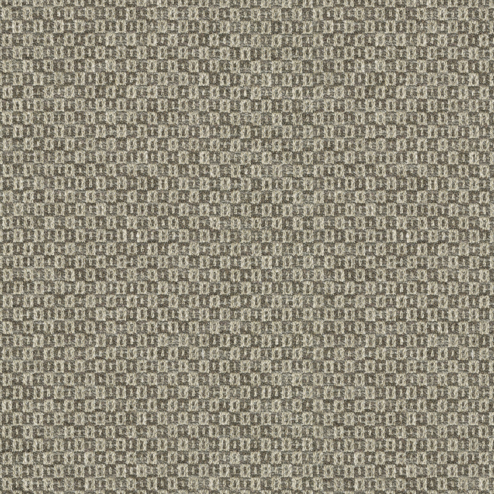 Parque Driftwood 412357 by PKL Studio Designer Fabric 82% polyester, 18% cotton India 51000 Horizontal: 0.5 and Vertical: 0.63 54 - Swanky Fabrics -
