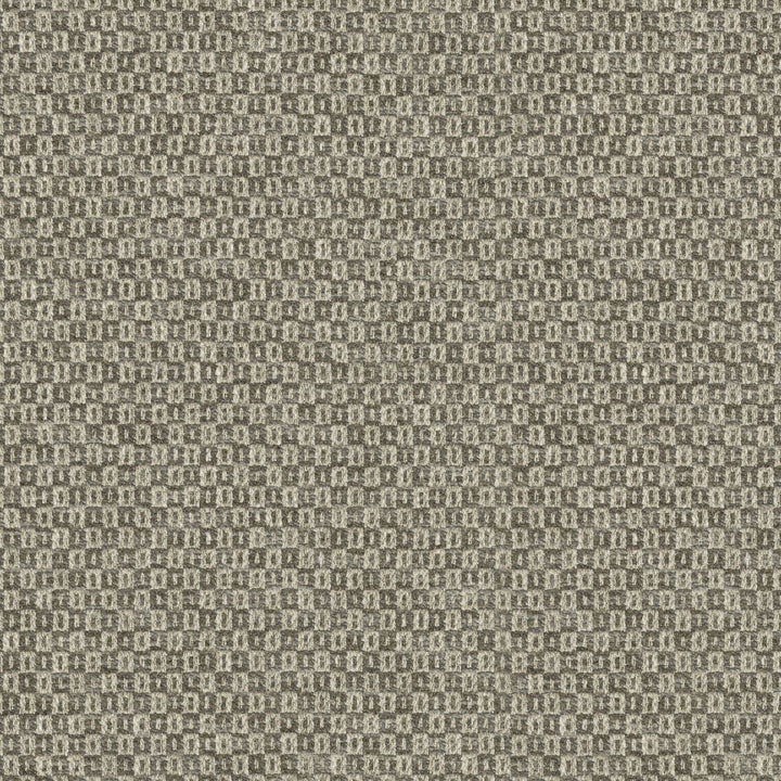 Parque Driftwood 412357 by PKL Studio Designer Fabric 82% polyester, 18% cotton India 51000 Horizontal: 0.5 and Vertical: 0.63 54 - Swanky Fabrics -