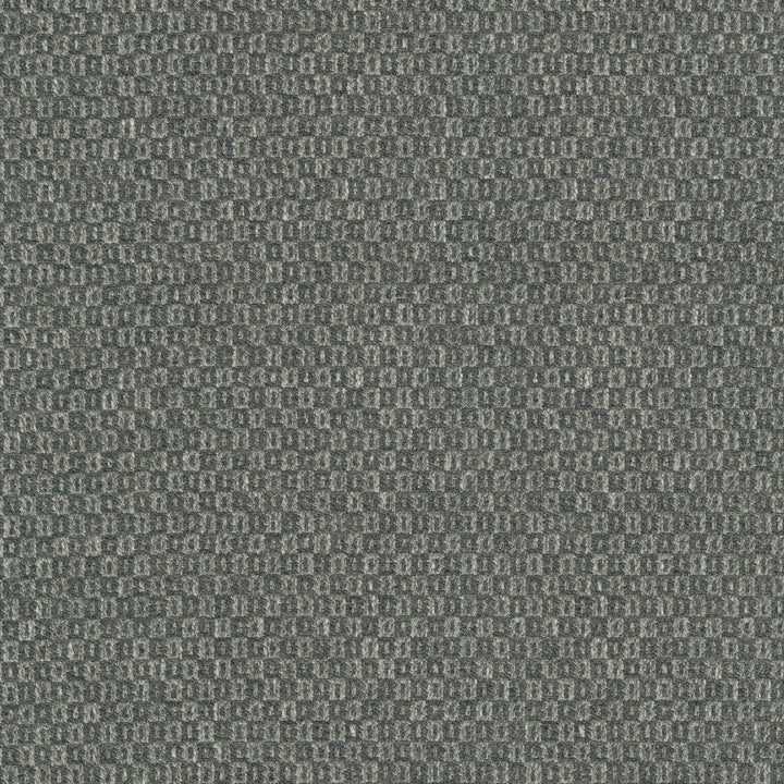Parque Charcoal 412359 by PKL Studio Designer Fabric 82% polyester, 18% cotton India 51000 Horizontal: 0.5 and Vertical: 0.63 54 - Swanky Fabrics -