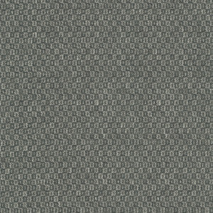 Parque Charcoal 412359 by PKL Studio Designer Fabric