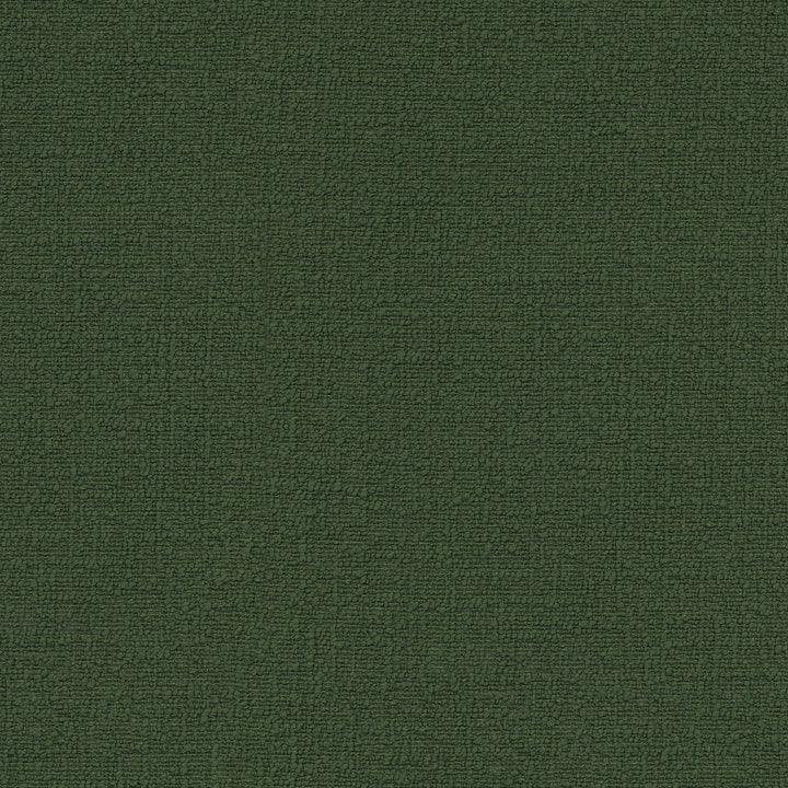 Cirrus Moss 412375 by PKL Studio Designer Fabric 100% polyester China 100000 Horizontal: 0 and Vertical: 0 54 - Swanky Fabrics -