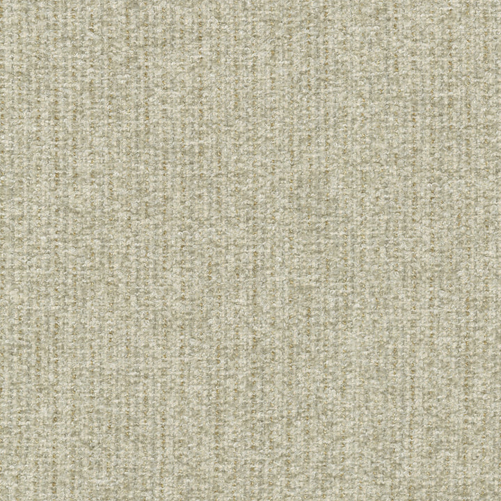 Ventura Papyrus 412526 by PKL Studio Designer Fabric 100% polyester India 51000 Horizontal: n/a and Vertical: n/a 54 - Swanky Fabrics -