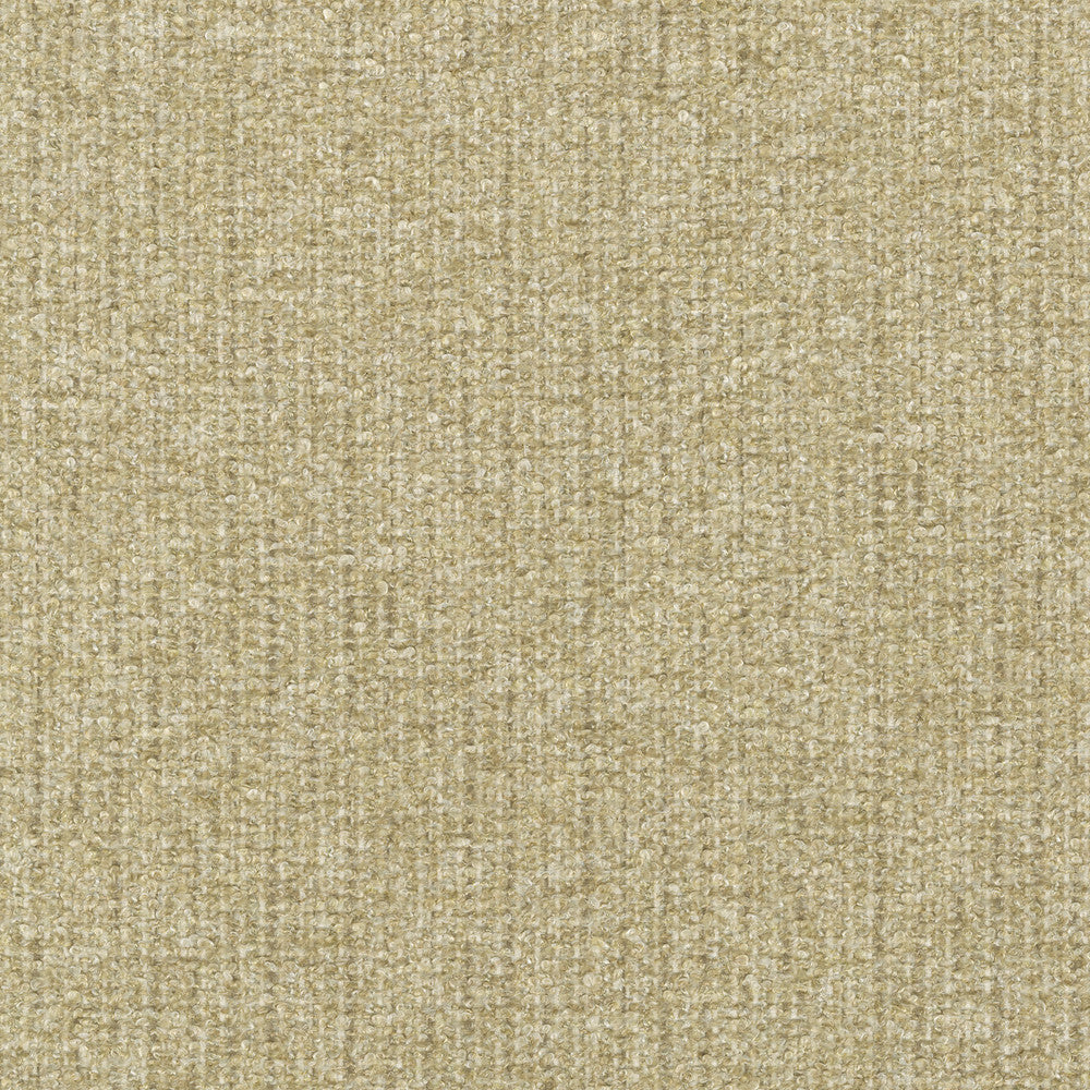 Ventura Oat 412527 by PKL Studio Designer Fabric 100% polyester India 51000 Horizontal: n/a and Vertical: n/a 54 - Swanky Fabrics -