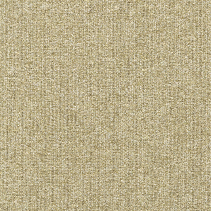 Ventura Oat 412527 by PKL Studio Designer Fabric 100% polyester India 51000 Horizontal: n/a and Vertical: n/a 54 - Swanky Fabrics -