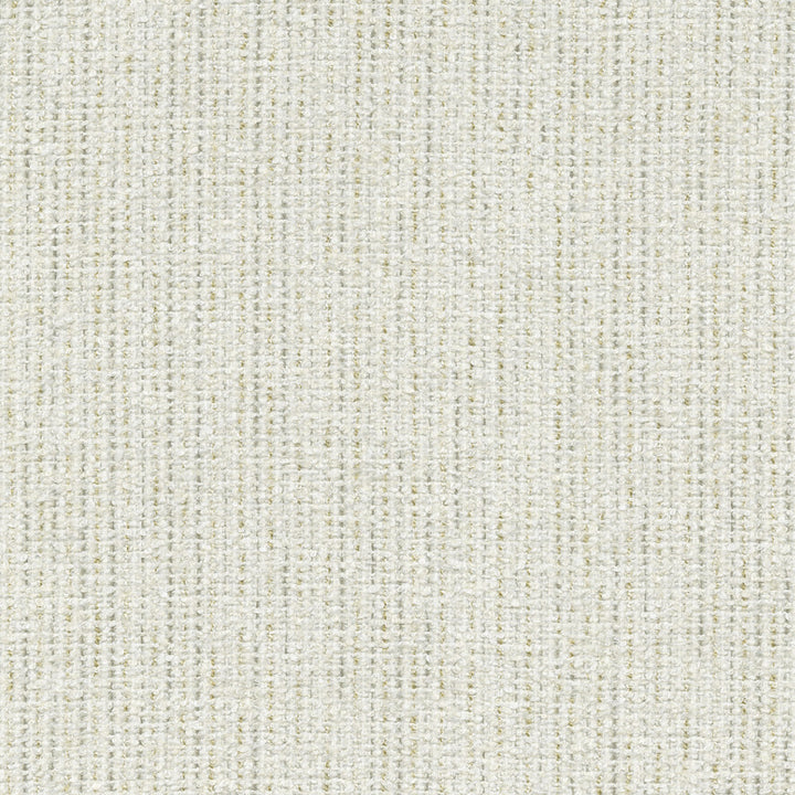Ventura Winter 412528 by PKL Studio Designer Fabric 100% polyester India 51000 Horizontal: n/a and Vertical: n/a 54 - Swanky Fabrics -
