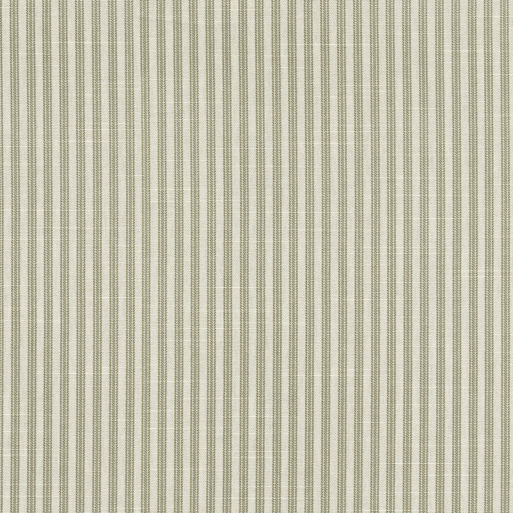 Everyday Ticking Shadow 412594 by PKL Studio Designer Fabric 100% cotton Pakistan 51000 Horizontal: 2.4 and Vertical: 0.1 54 - Swanky Fabrics -