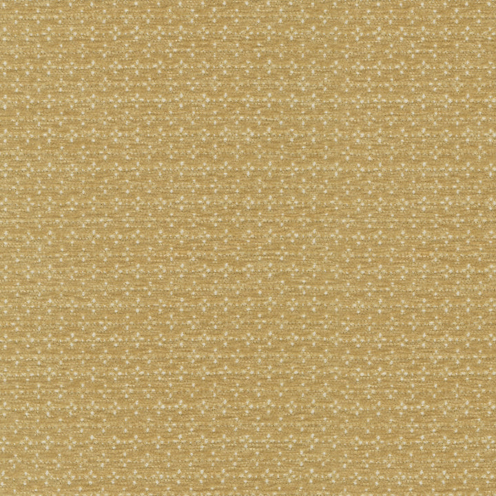 Elara Oro 412621 by PKL Studio Designer Fabric 100% polyester China 24000 Horizontal: 0.5 and Vertical: 0.88 54/55 - Swanky Fabrics -