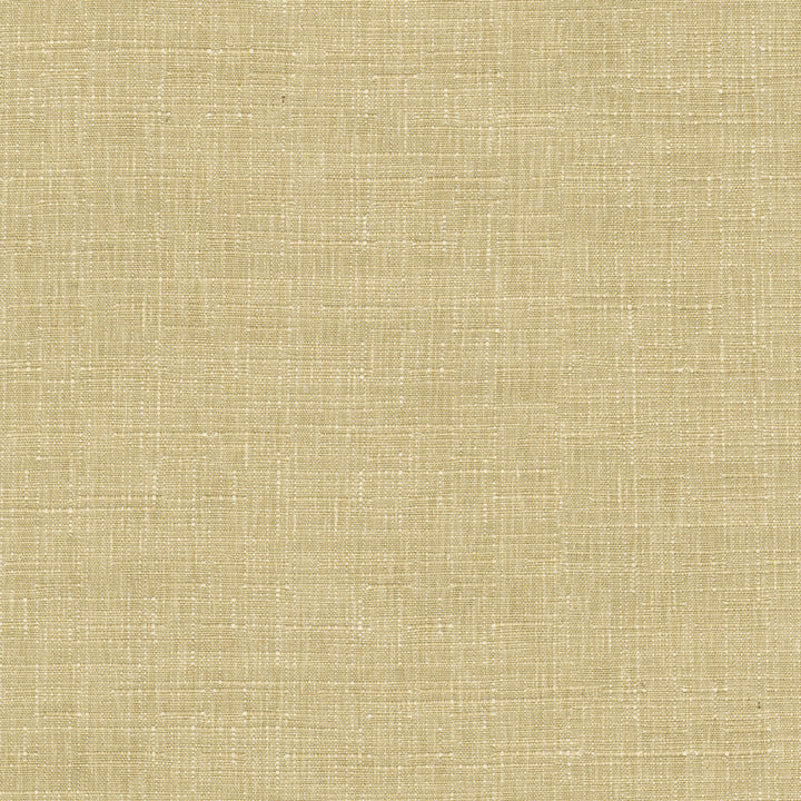 Avalon Wheat 412854 by PKL Studio Designer Fabric 74% cotton, 26% polyester India 51000 Horizontal: 0 and Vertical: 0 54 - Swanky Fabrics -