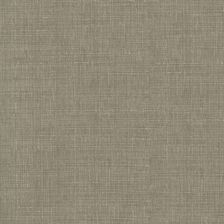 Avalon Mushroom 412857 by PKL Studio Designer Fabric 74% cotton, 26% polyester India 51000 Horizontal: 0 and Vertical: 0 54 - Swanky Fabrics -