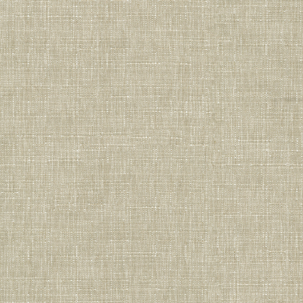 Avalon Taupe 412858 by PKL Studio Designer Fabric 74% cotton, 26% polyester India 51000 Horizontal: 0 and Vertical: 0 54 - Swanky Fabrics -